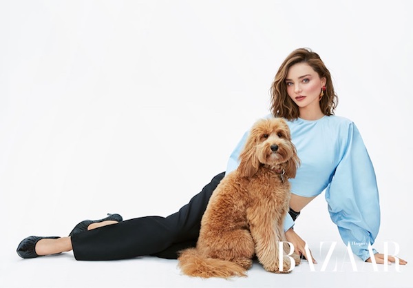 Celebrity Yorkshire Terriers  Louis vuitton dog carrier, Miranda kerr,  Miranda kerr style