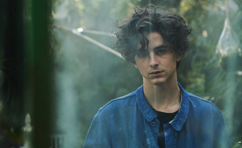 Here's another Timothée Chalamet Apple TV+ ad for you. | Coup De Main ...