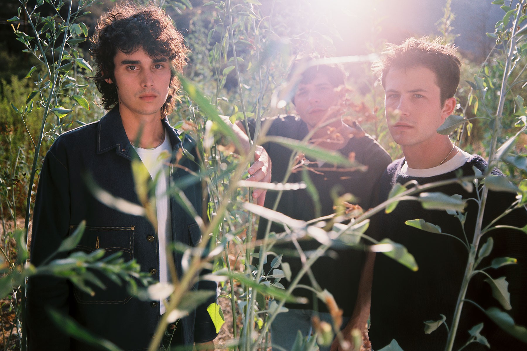 Interview: The ebb and flow of Wallows.