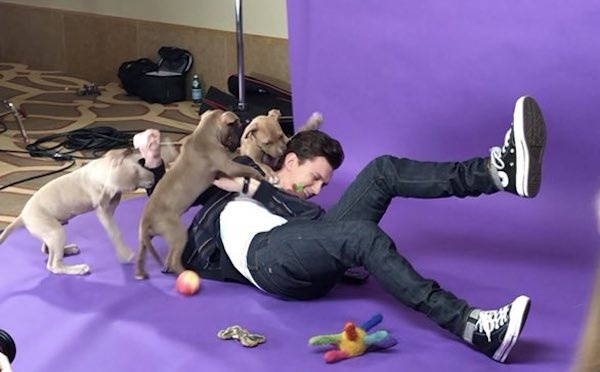 Tom Holland + puppies = content.  Coup De Main Magazine