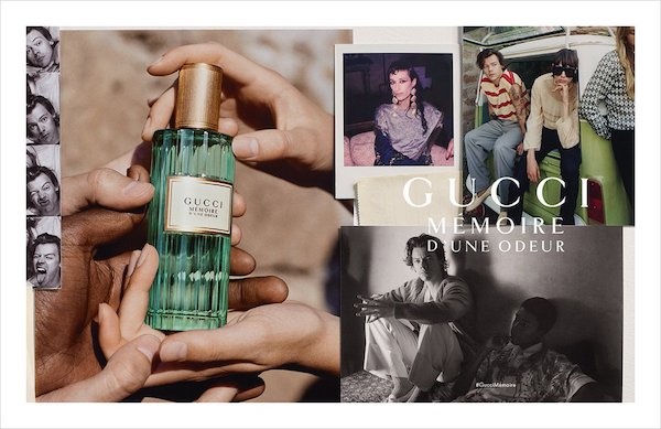 harry styles x gucci perfume