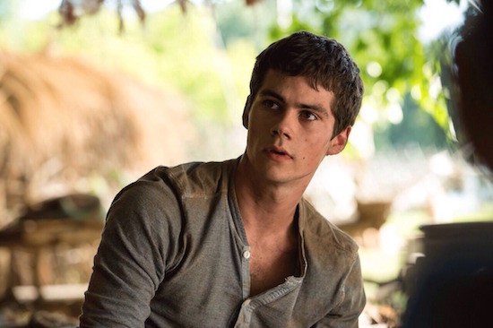 Maze Runner: How does a movie cast recover when the star is injured?, Ents  & Arts News
