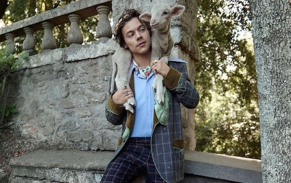 harry styles gucci campaign 2019