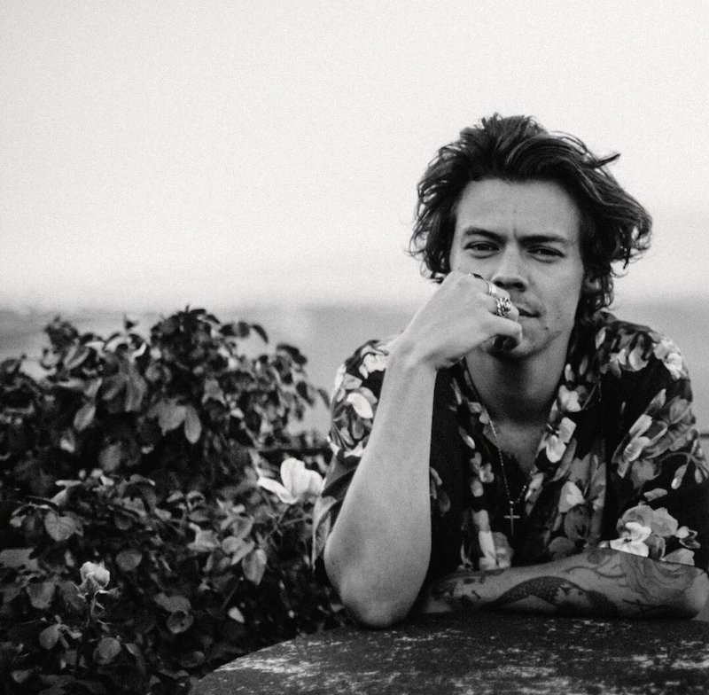 Listen now: Harry Styles x Calm = 'Dream With Me'. | Coup De Main