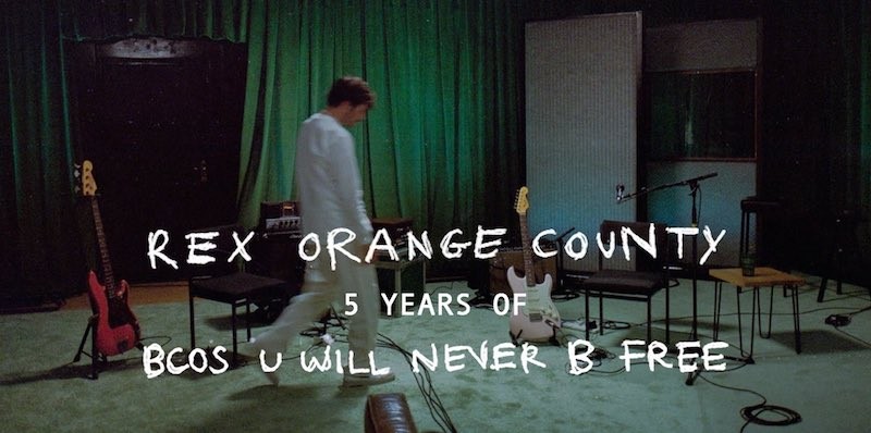 Rex Orange County Announces 'Bcos U Will Never B Free' Livestream Event ...