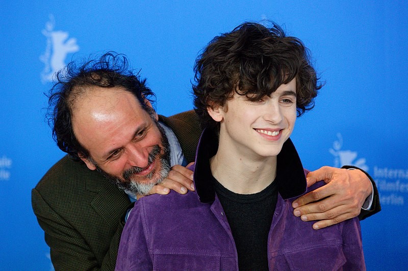 Luca Guadagnino still wants to make a Call Me By Your Name sequel